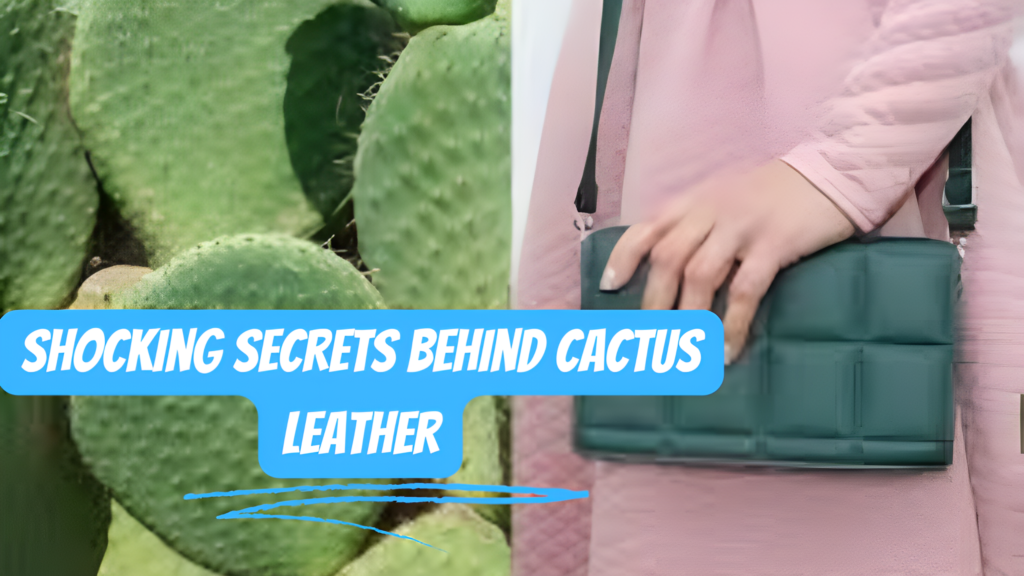 Cactus Leather